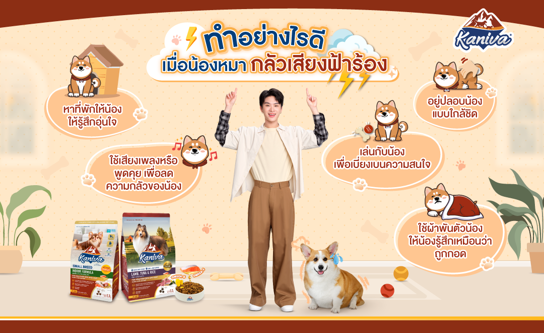 ทำอย่างไรดี เมื่อน้องหมากลัวเสียงฟ้าร้อง