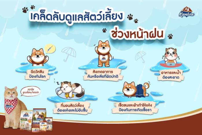 เคล็ดลับดูแลสัตว์เลี้ยงช่วงหน้าฝน