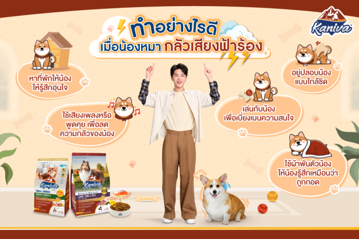 ทำอย่างไรดี เมื่อน้องหมากลัวเสียงฟ้าร้อง