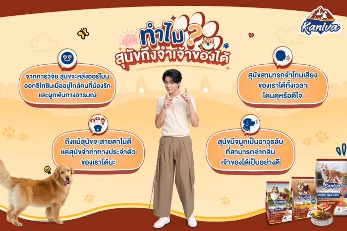 ทำไมสุนัขจึงจำเจ้าของได้