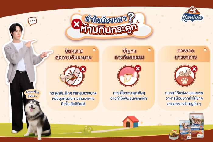 ทำไมน้องหมาห้ามกินกระดูก