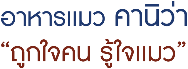 อาหารแมว คาบนิ้วว่า “ถูกใจคน รู้ใจแมว”