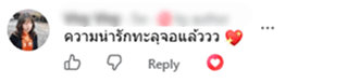 User Review
