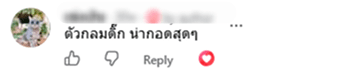 User Review