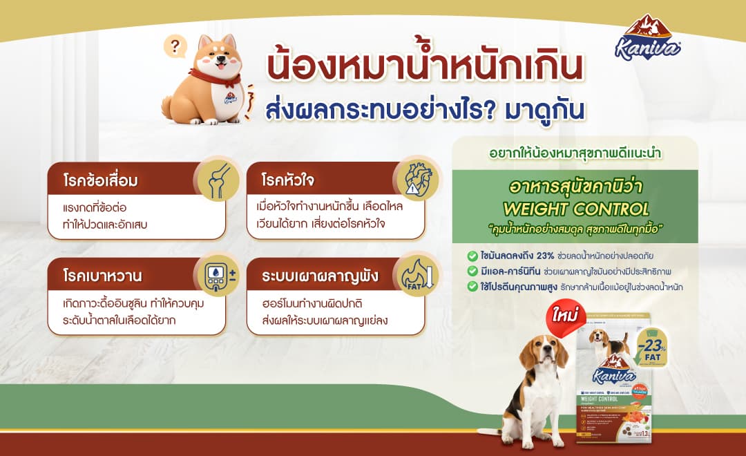 ผลกระทบเมื่อน้องหมาน้ำหนักเกิน