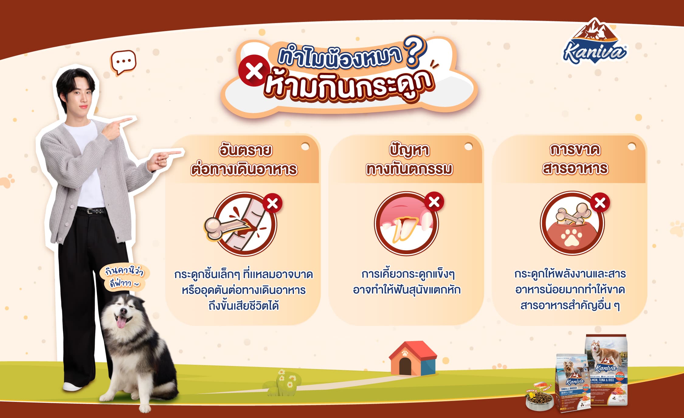 Why shouldn't dogs eat bones?