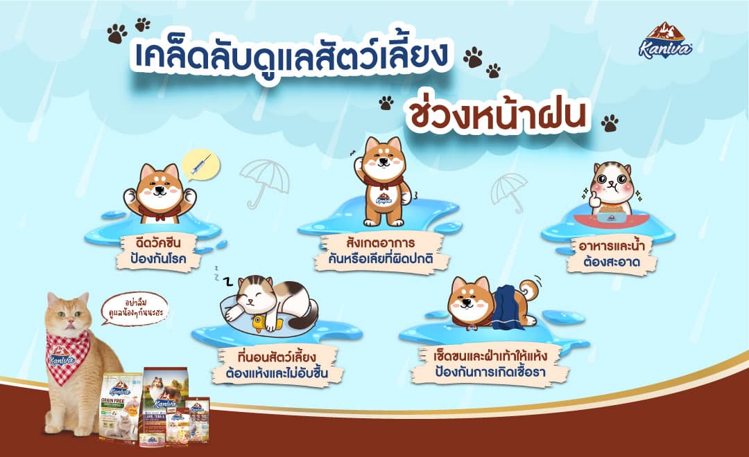 Tips for caring for pets during the rainy season.