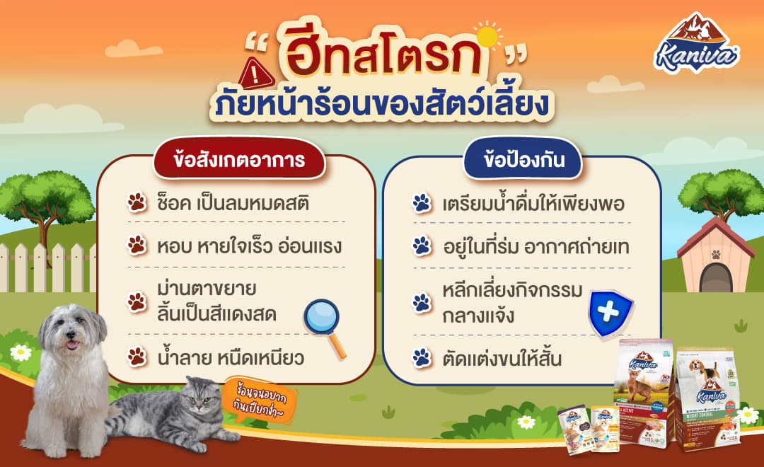 ฮีทสโตรก ภัยหน้าร้อน