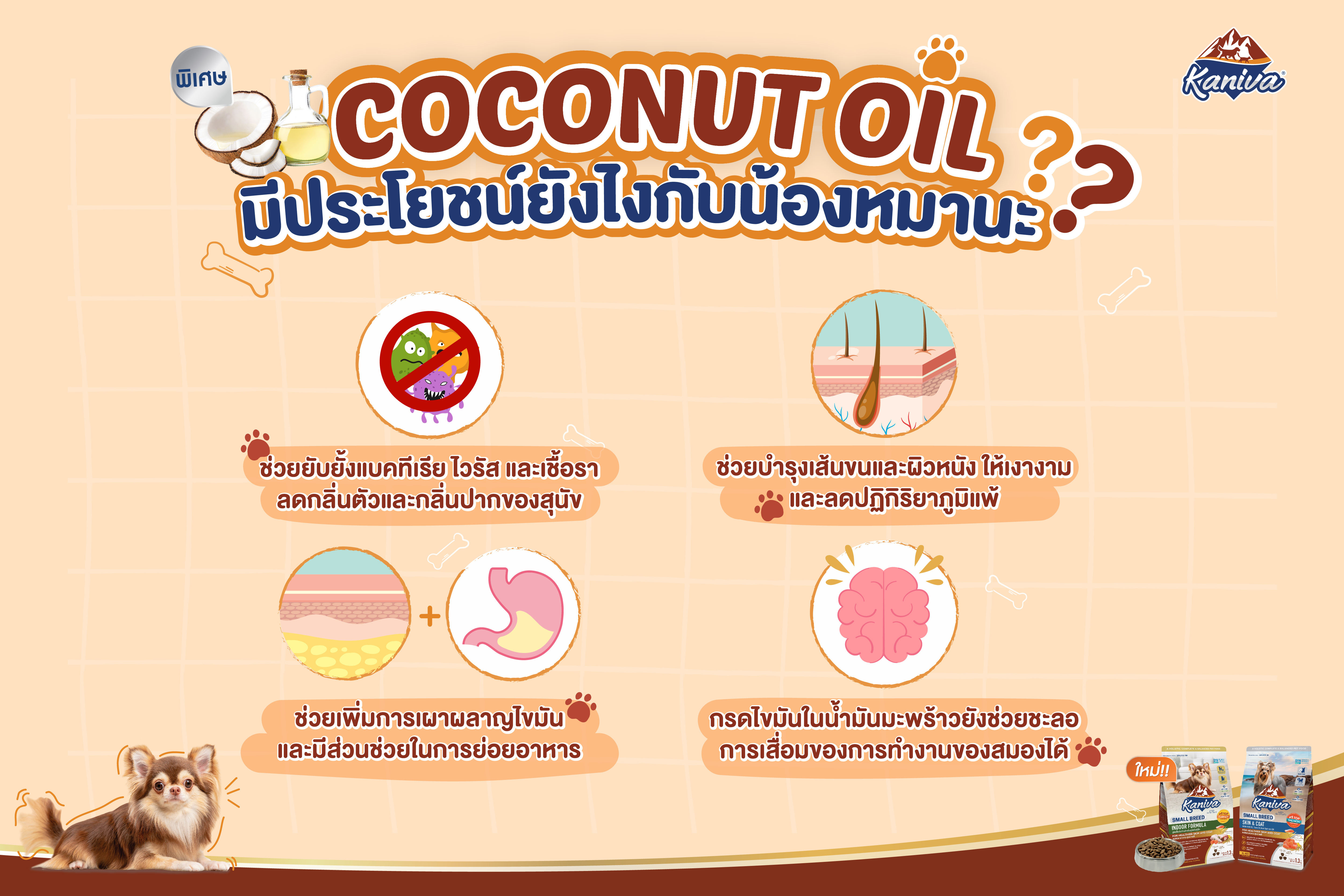 ประโยชน์ของ Coconut oil ที่มีต่อน้องหมา