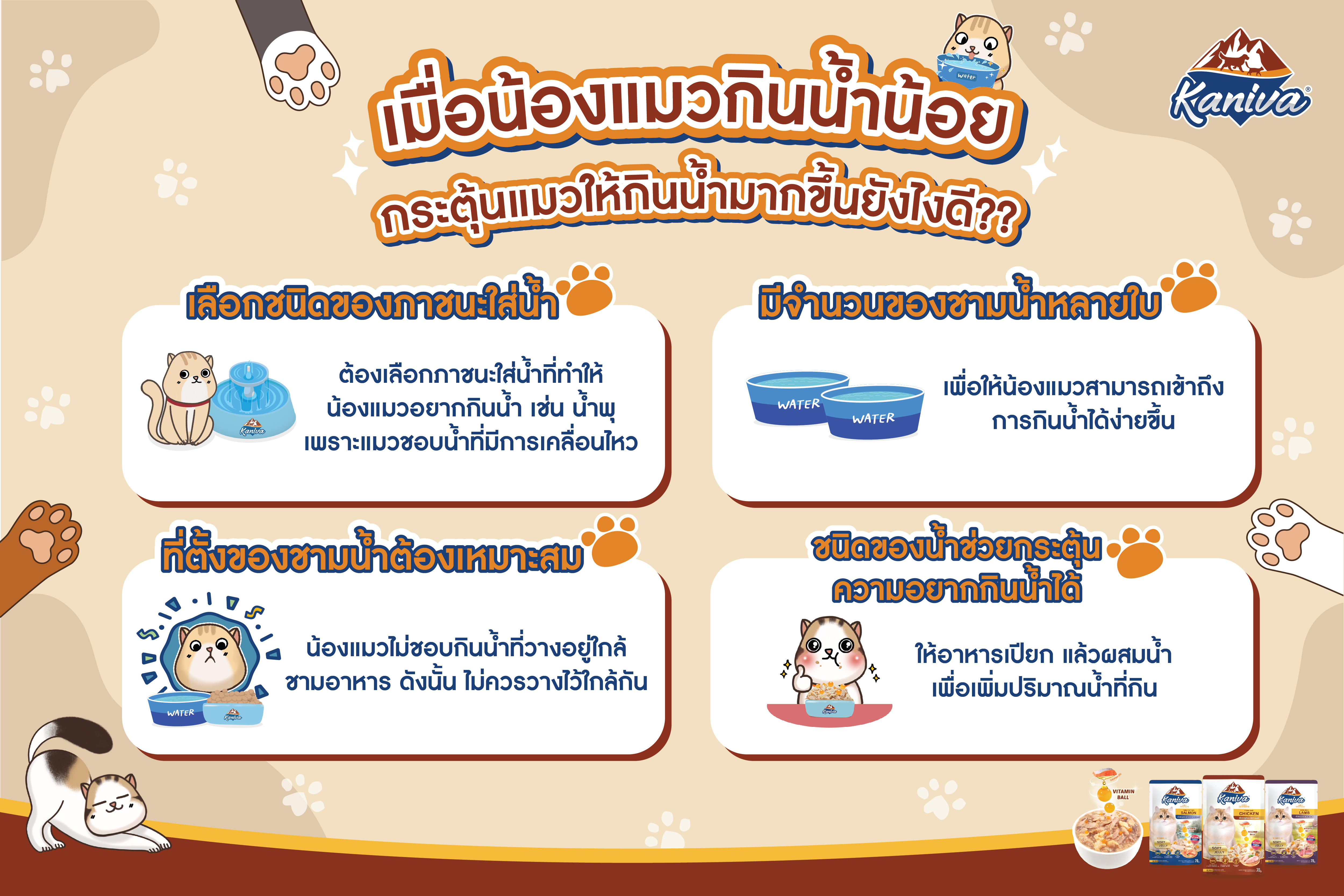 เมื่อน้องแมวกินน้ำน้อย
