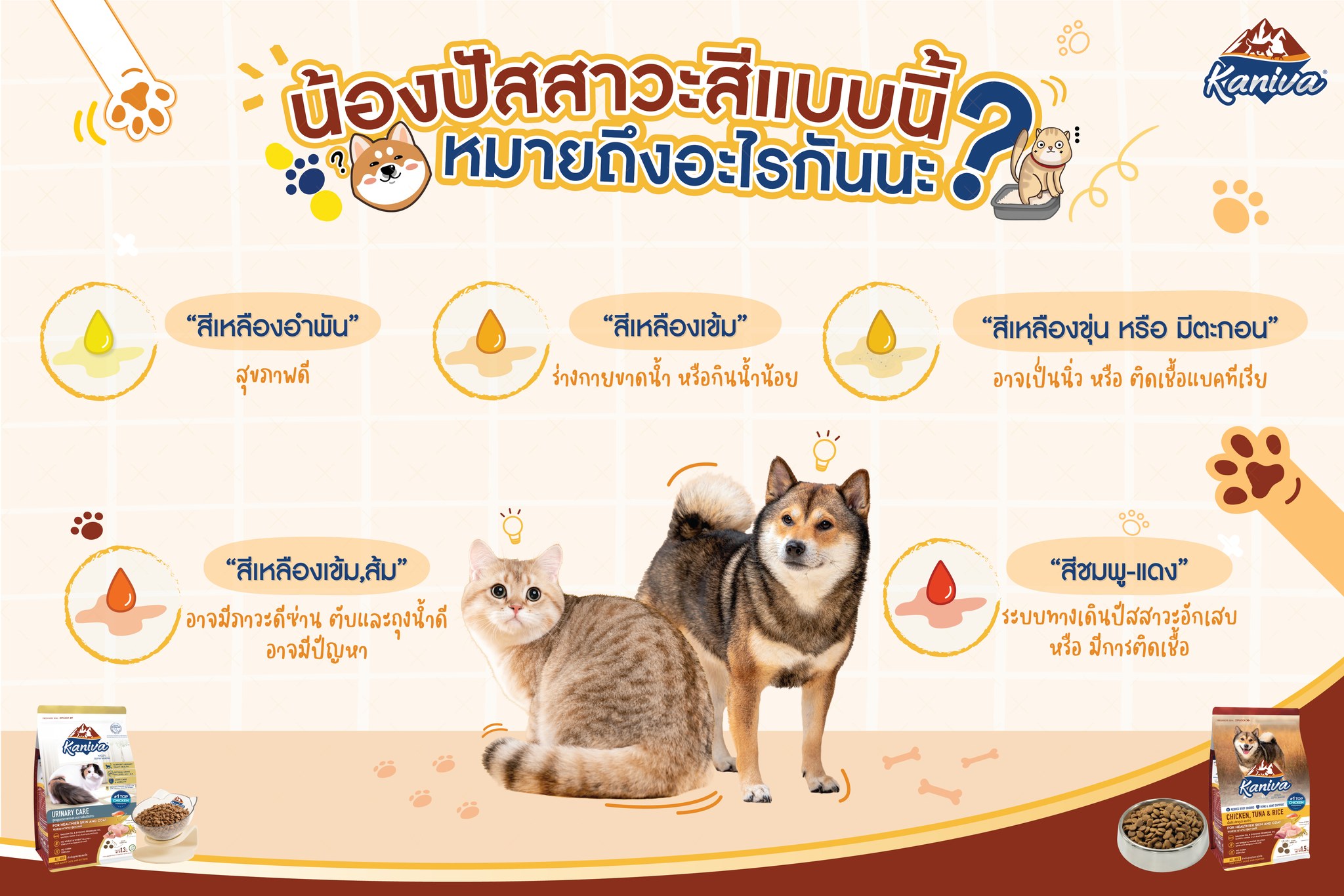 ทำไมต้องสังเกตสีปัสสาวะของน้องหมาน้องแมว