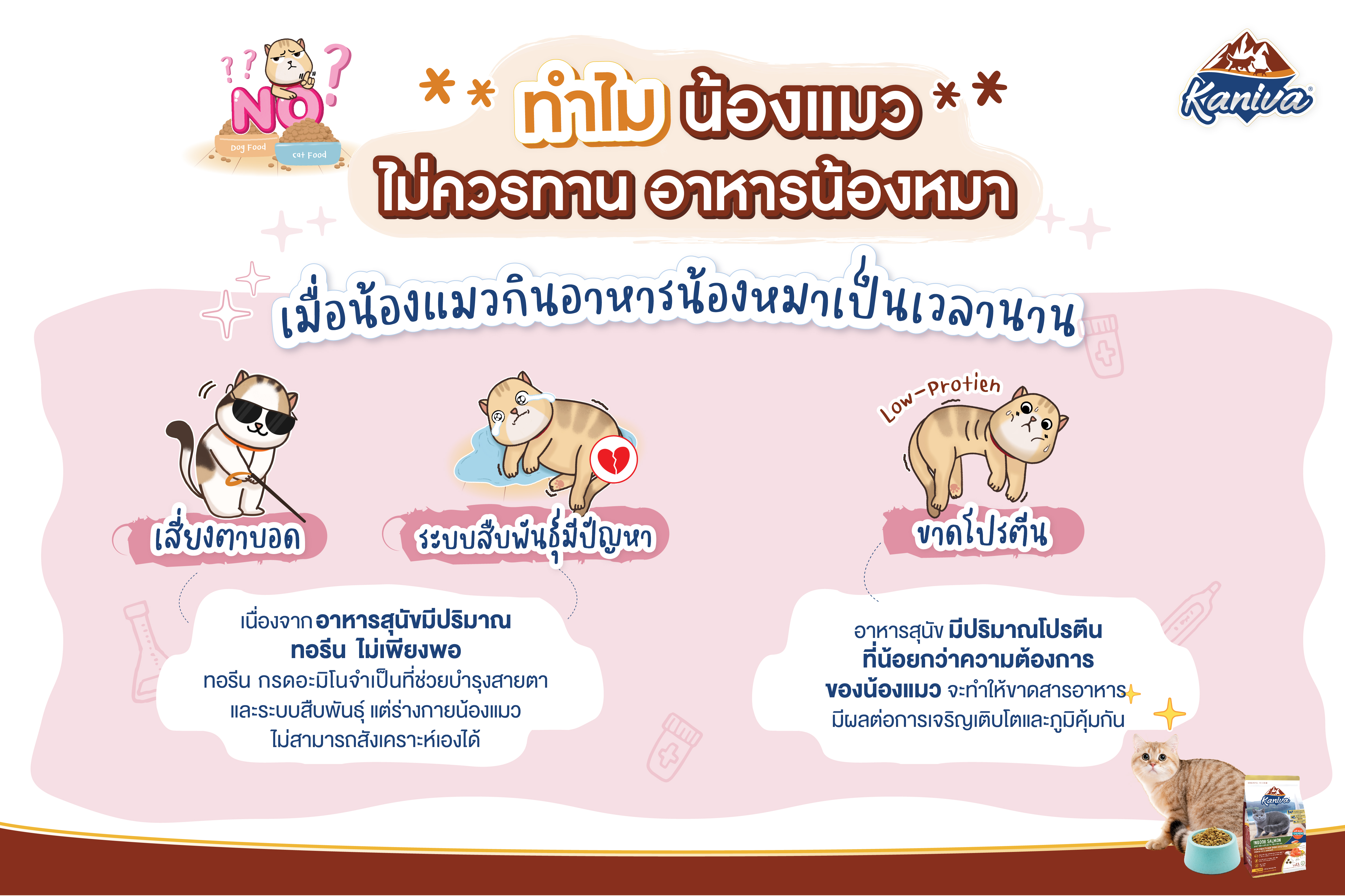 ทำไมน้องแมวไม่ควรทานอาหารน้องหมา