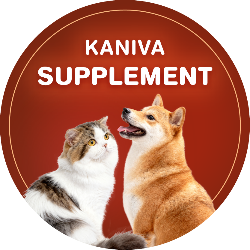 SUPPLEMENT