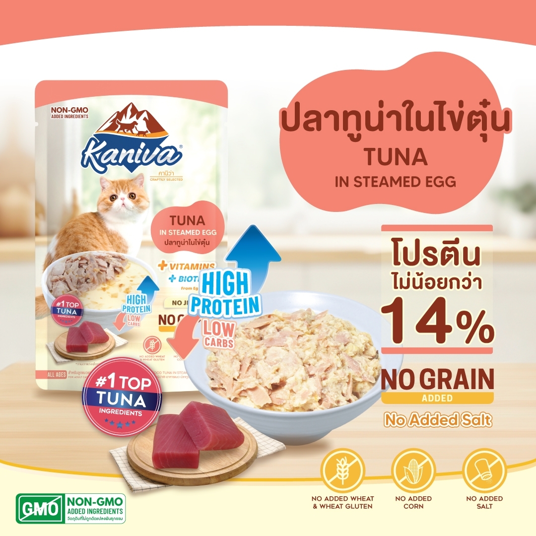 อาหารแมวคานิว่าชนิดเปียก สูตรปลาทูน่าในไข่ตุ๋น