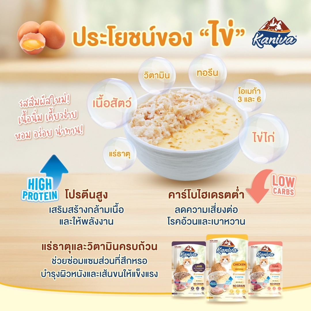 อาหารแมวคานิว่าชนิดเปียก สูตรปลาทูน่าในไข่ตุ๋น