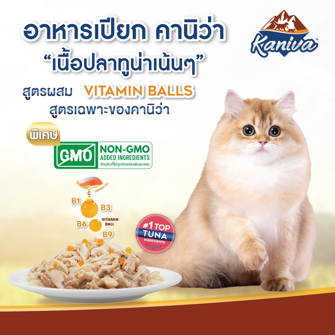 อาหารแมวคานิว่าชนิดเปียก เนื้อปลาทูน่าหน้าเนื้อแซลมอนในเยลลี่ ผสมวิตามินบอล จัมโบ้แพ็ค