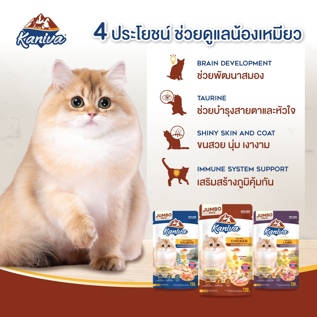 อาหารแมวคานิว่าชนิดเปียก เนื้อปลาทูน่าหน้าเนื้อแซลมอนในเยลลี่ ผสมวิตามินบอล จัมโบ้แพ็ค