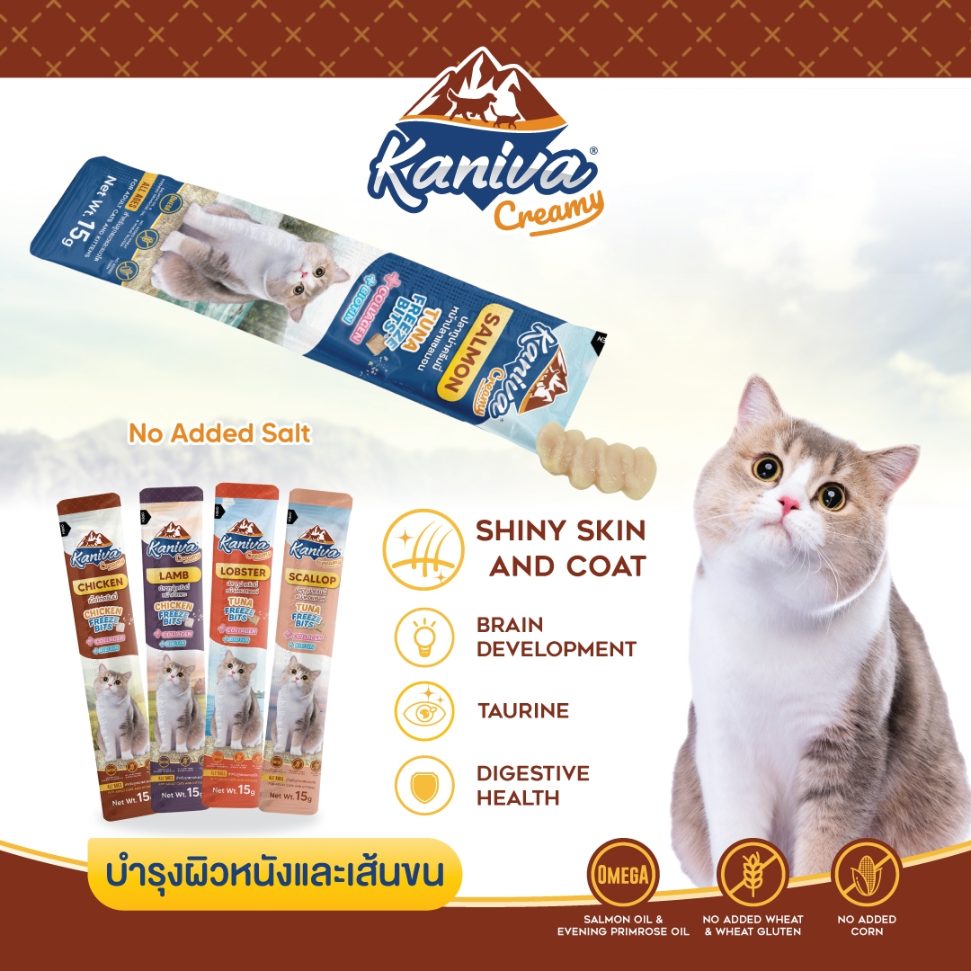 ขนมแมวเลียคานิว่าครีมมี่ สูตรแซลมอน