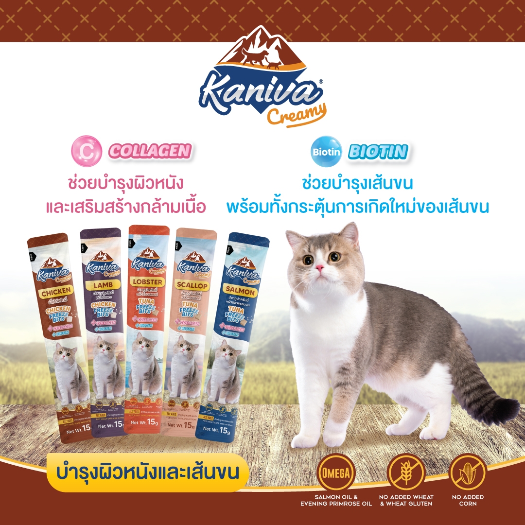 ขนมแมวเลียคานิว่าครีมมี่ สูตรแซลมอน