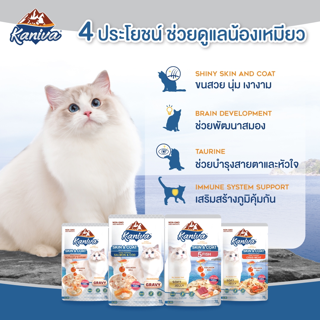 อาหารแมวคานิว่าชนิดเปียก สกินแอนด์โคท สูตรปลาทูน่าหน้าปลา 5 ชนิดในเยลลี่ ผสมคอลลาเจนบอล บำรุงผิวหนังและเส้นขน