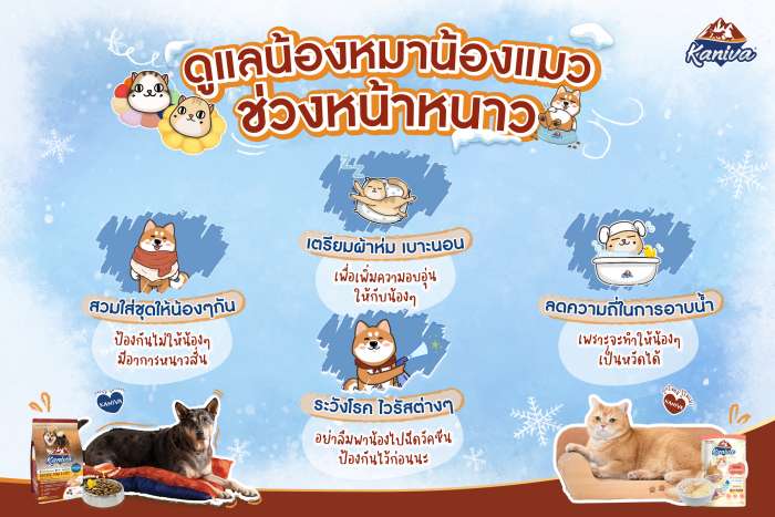 ดูแลน้องหมาน้องแมวช่วงหน้าหนาว ❤️