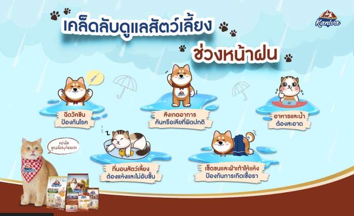 เคล็ดลับดูแลสัตว์เลี้ยงช่วงหน้าฝน