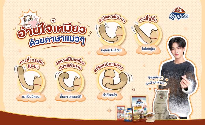 อ่านใจเหมียวด้วยภาษาแมวๆ 