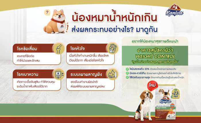 ผลกระทบเมื่อน้องหมาน้ำหนักเกิน