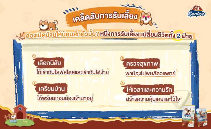 เคล็ดลับการรับเลี้ยงลูกสุนัข 