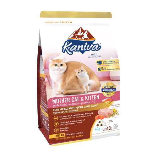 Kaniva Mother Cat and Kitten
